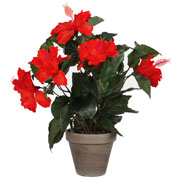 Artificial Plant - Red Hibiscus - MICA